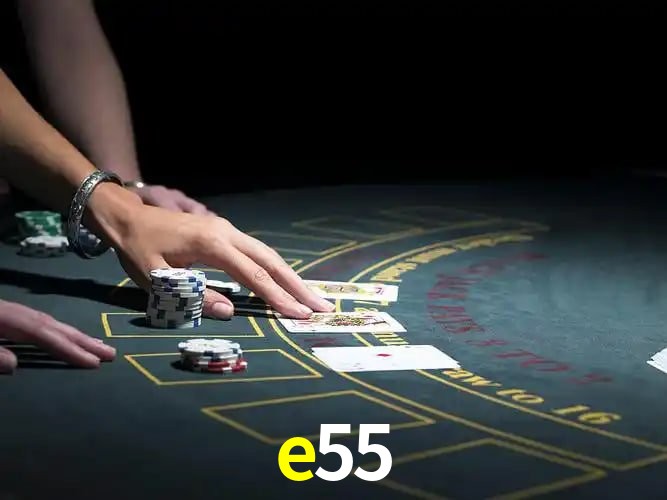 Sistemas de Segurança e55