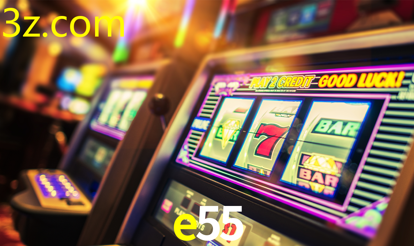 E55.COM