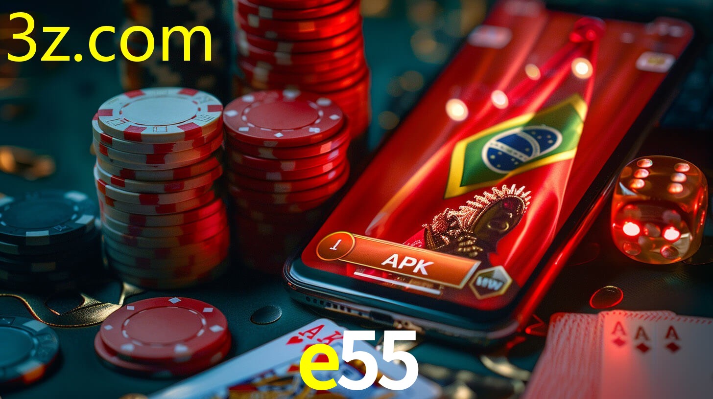 E55.COM