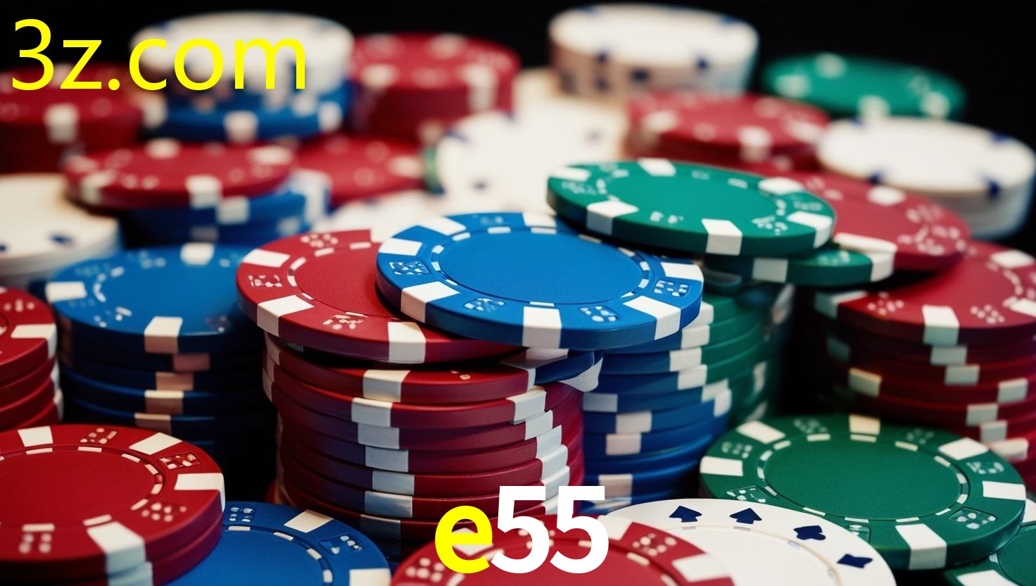 E55.COM