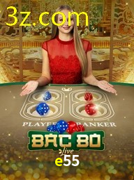 E55.COM