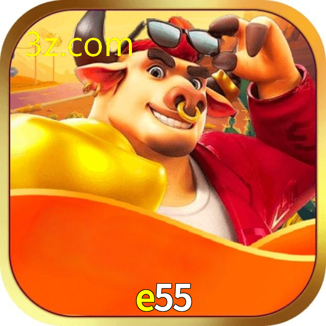 E55.COM
